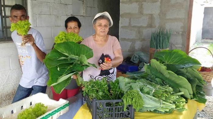 UNI Horta promove encontro para incentivar  produção de  alimentos orgânicos na periferia