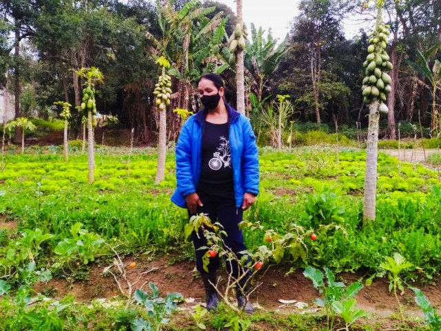Agricultura familiar: casal cultiva e comercializa alimentos orgânicos na zona sul de São Paulo