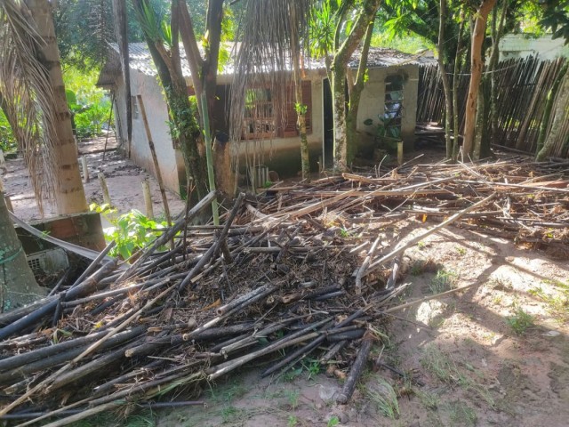 Quilombo Brotas: o primeiro quilombo urbano do Brasil