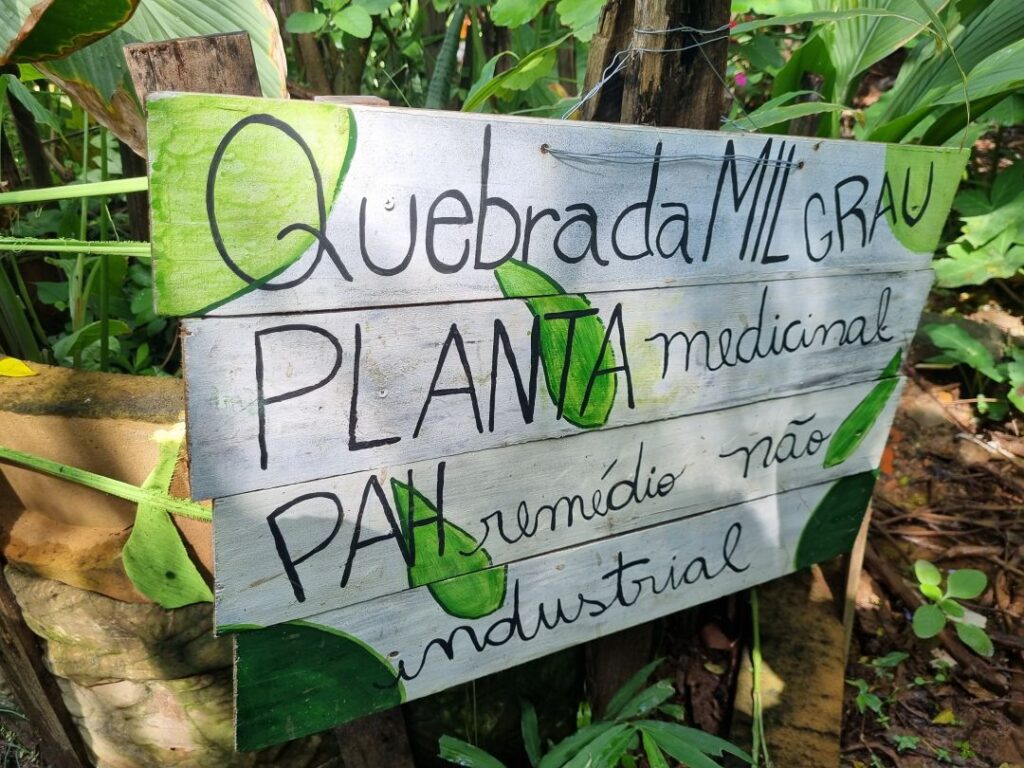 Cultivo e incentivo à utilização de plantas medicinais (foto: Viviane Lima)