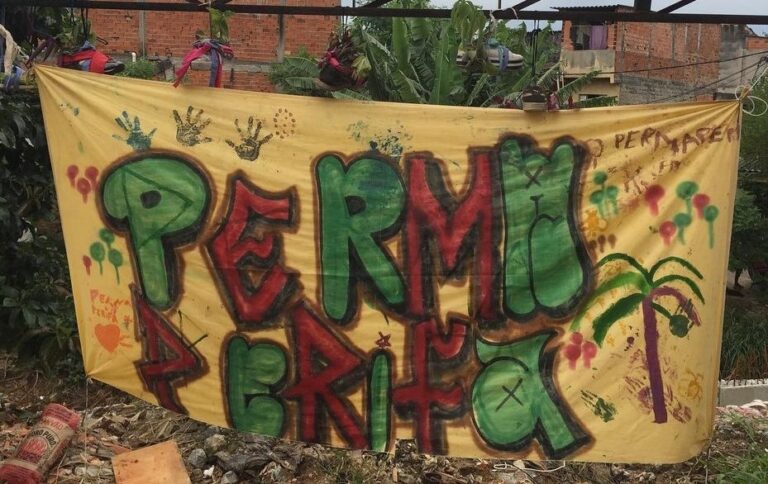 Iniciativas utilizam a permacultura como alternativa para amenizar efeitos da emergência climática