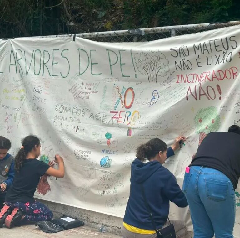 Projeto prevê derrubada de 63 mil árvores para ampliação de aterro sanitário e construção de incinerador em São Mateus 