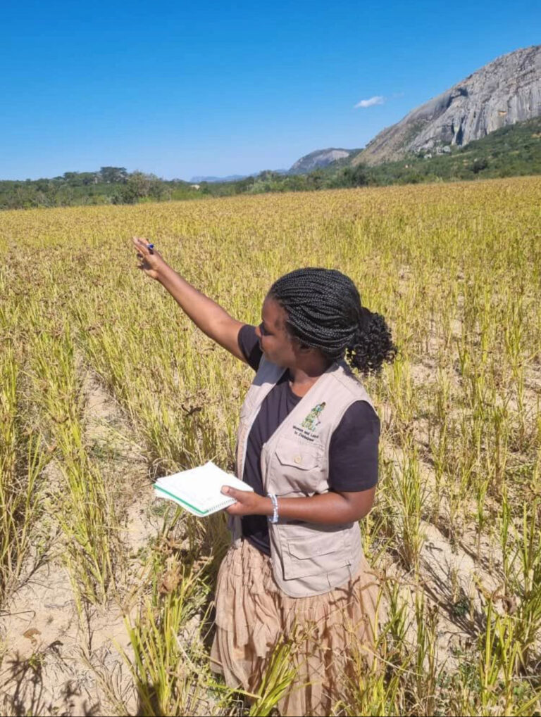 “Terra é proteção”: a luta de mulheres negras africanas por justiça climática na COP30