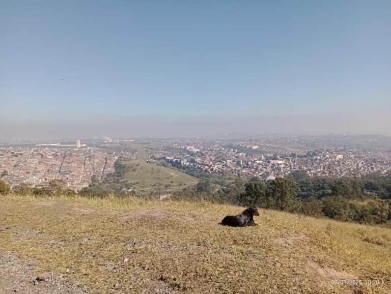 O parque, o mirante e uma interrogação: pode o monumento natural do Morro do Cruzeiro existir ao lado do lixo?